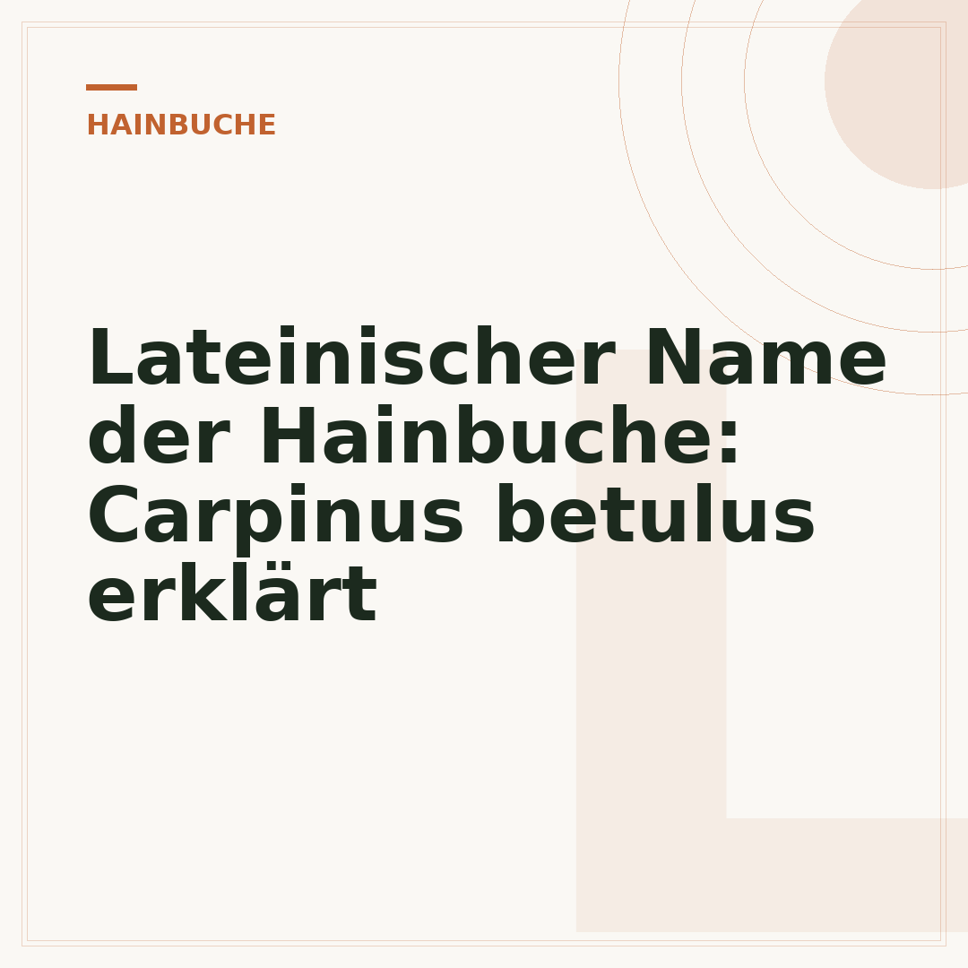 Lateinischer Name der Hainbuche: Carpinus betulus erklärt