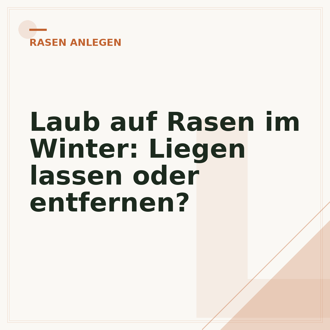 Laub auf Rasen im Winter: Liegen lassen oder entfernen?