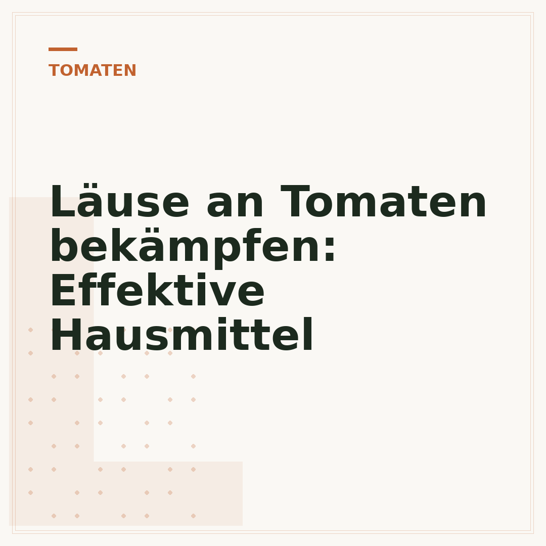 Läuse an Tomaten bekämpfen: Effektive Hausmittel