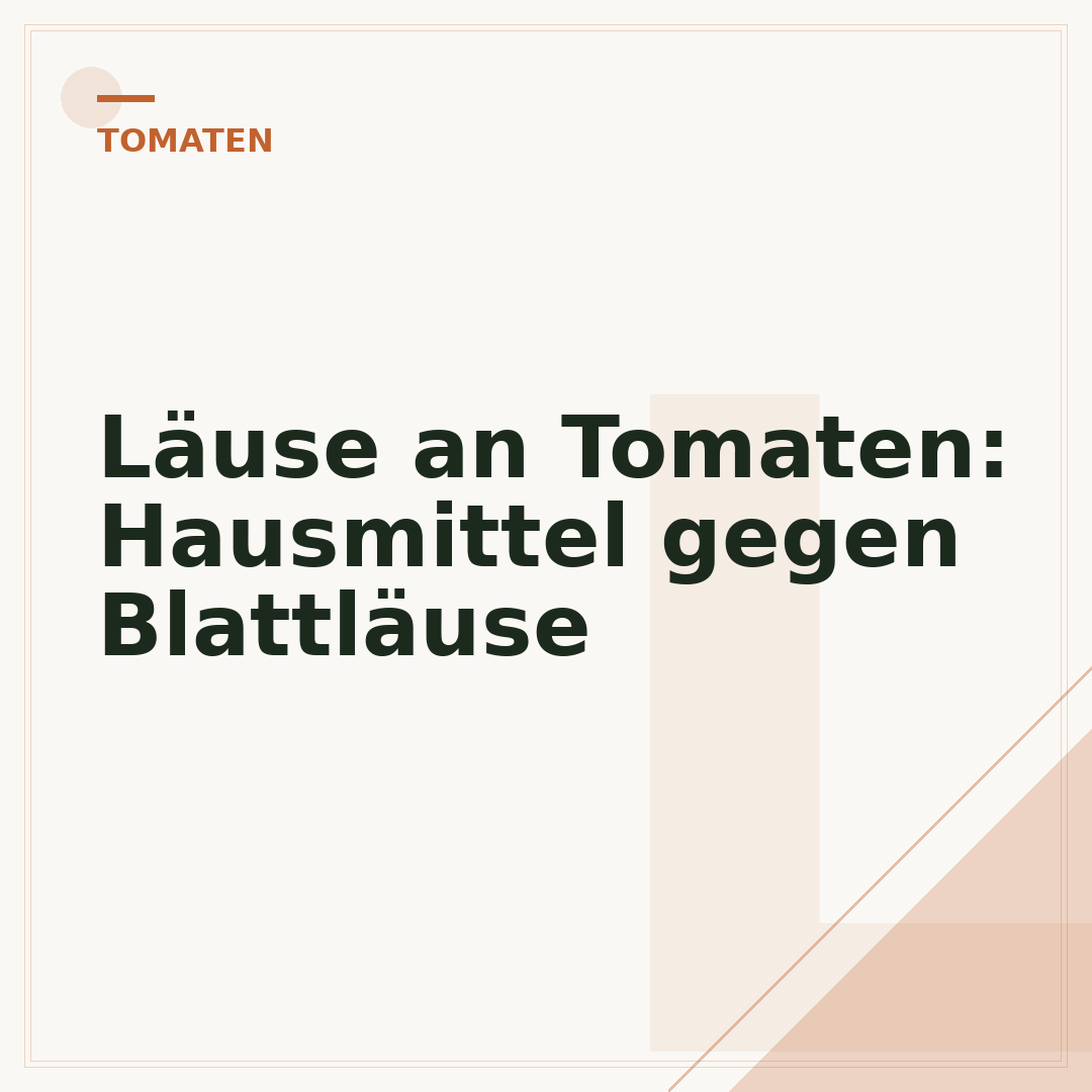 Läuse an Tomaten: Hausmittel gegen Blattläuse