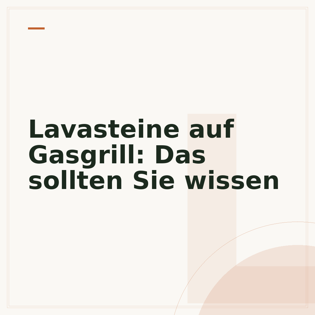 Lavasteine auf Gasgrill: Das sollten Sie wissen