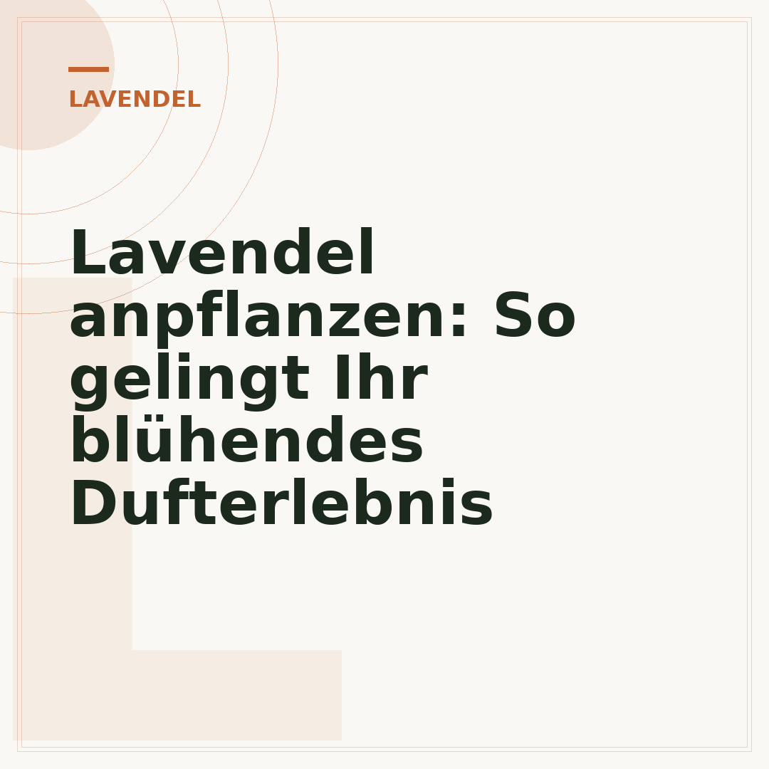 Lavendel anpflanzen: So gelingt Ihr blühendes Dufterlebnis