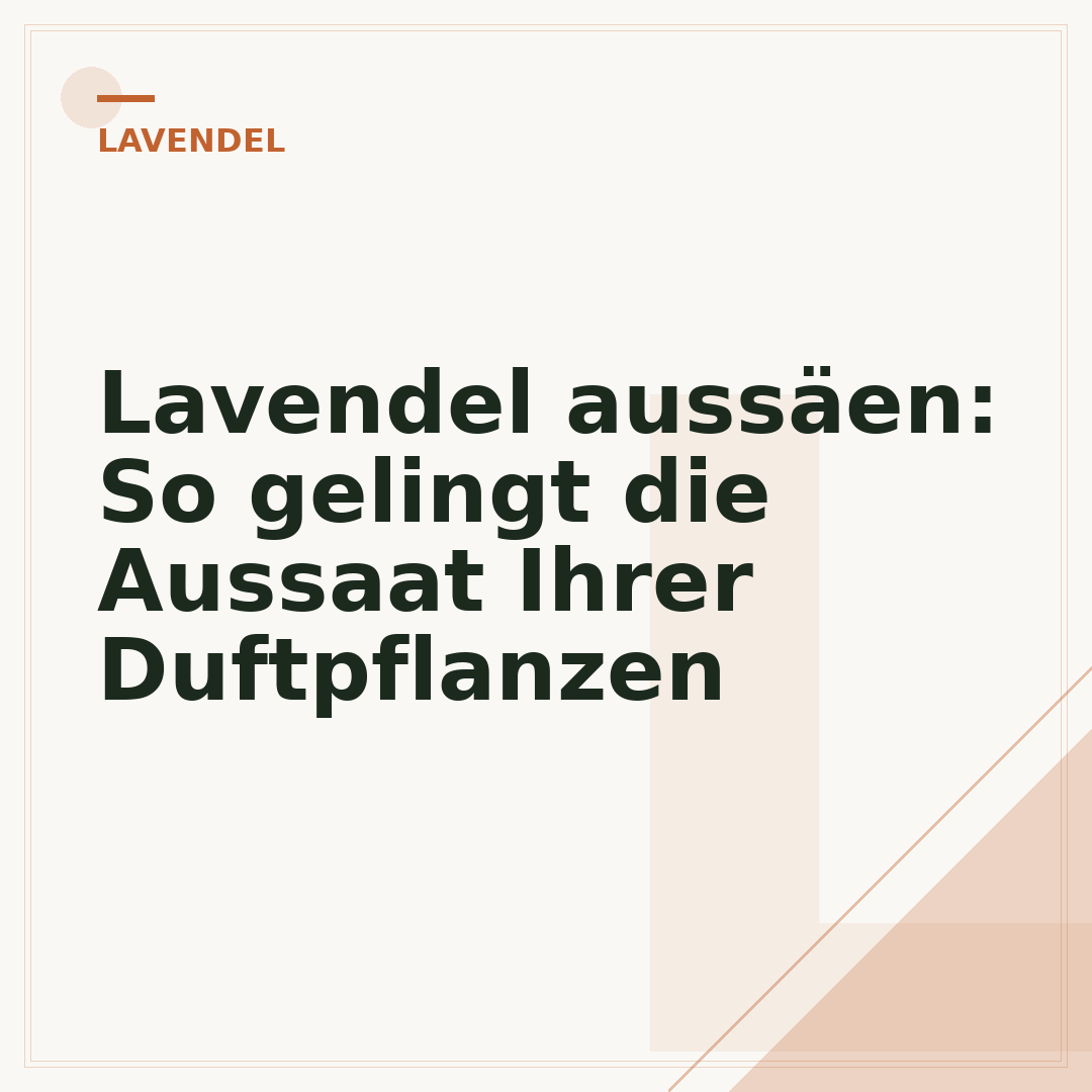 Lavendel aussäen: So gelingt die Aussaat Ihrer Duftpflanzen