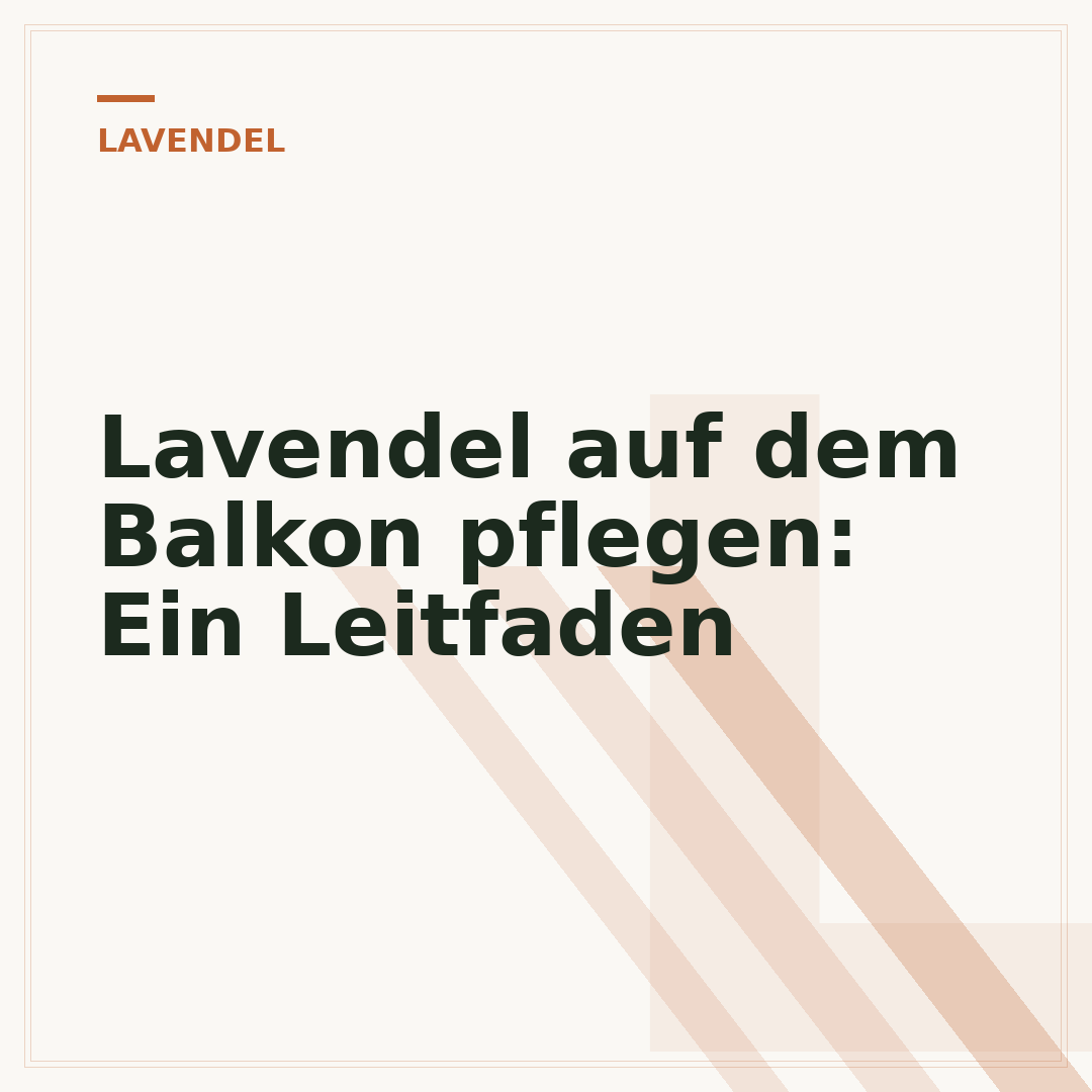 Lavendel auf dem Balkon pflegen: Ein Leitfaden