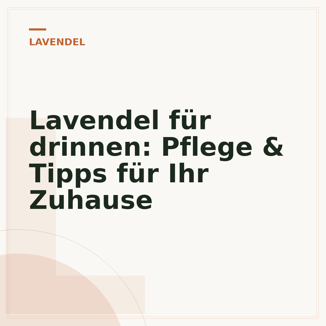 Lavendel für drinnen: Pflege & Tipps für Ihr Zuhause