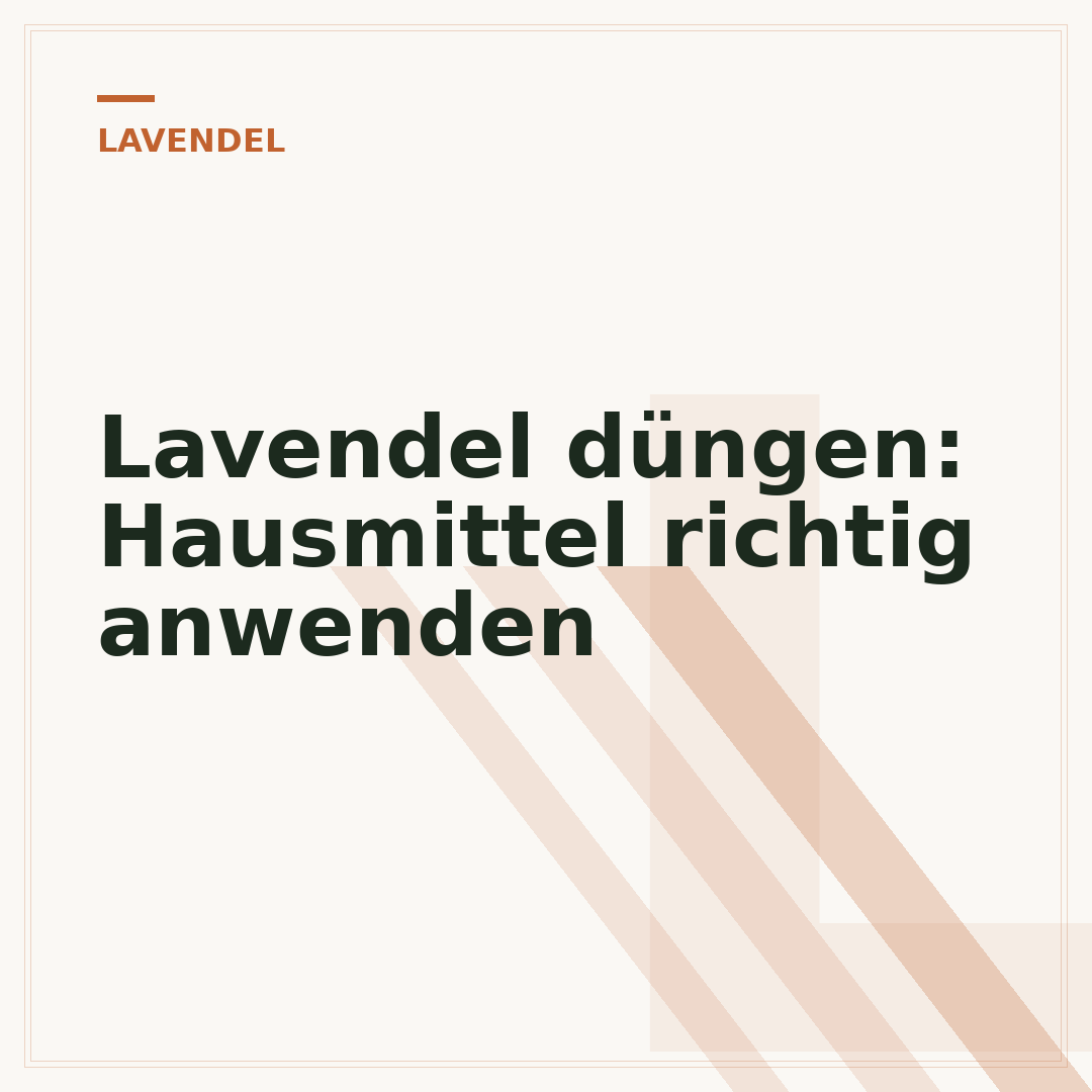 Lavendel düngen: Hausmittel richtig anwenden