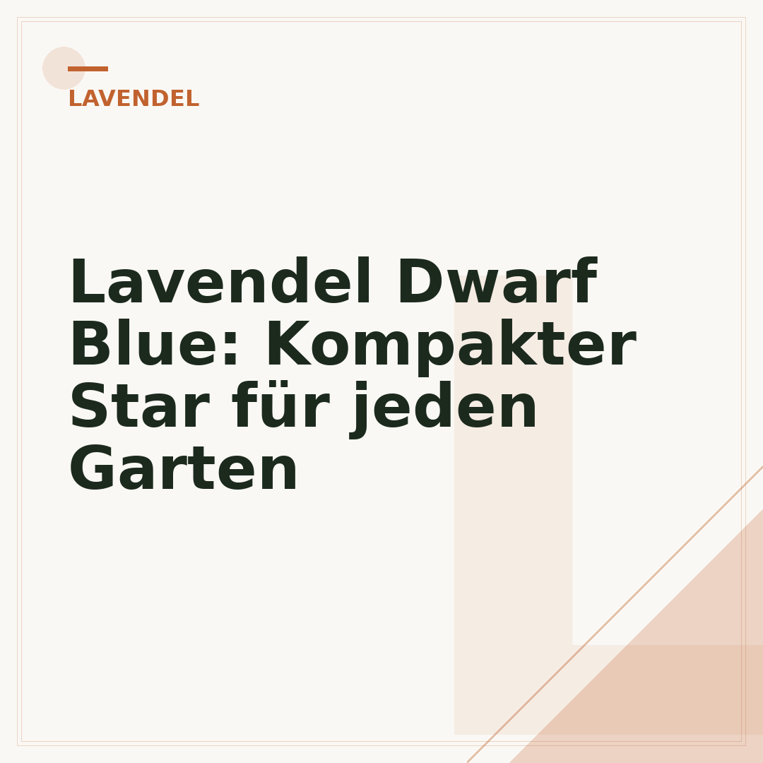 Lavendel Dwarf Blue: Kompakter Star für jeden Garten