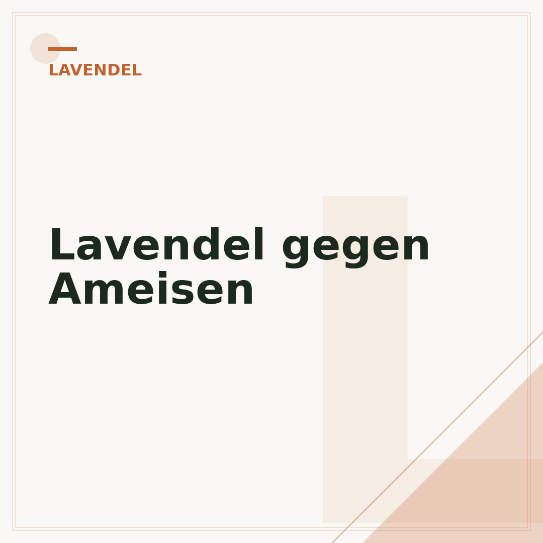 Lavendel gegen Ameisen