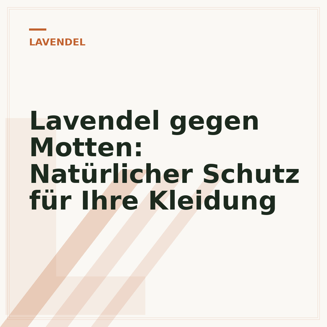 Lavendel gegen Motten: Natürlicher Schutz für Ihre Kleidung