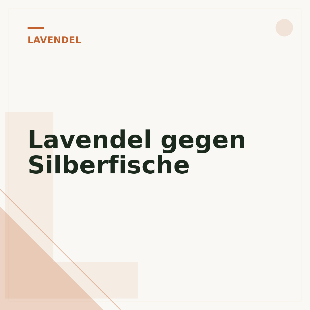 Lavendel gegen Silberfische