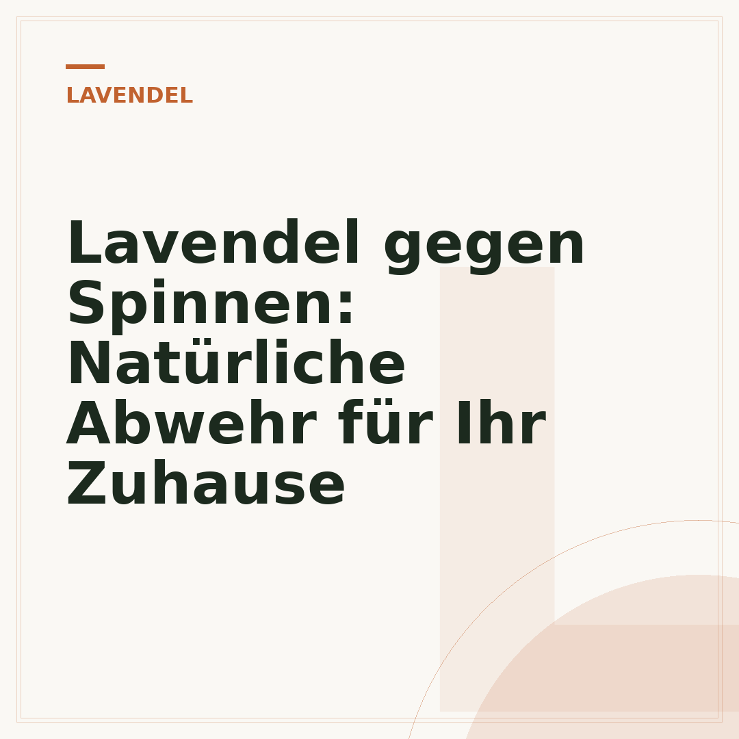 Lavendel gegen Spinnen: Natürliche Abwehr für Ihr Zuhause