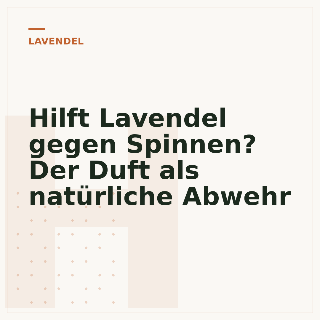 Hilft Lavendel gegen Spinnen? Der Duft als natürliche Abwehr