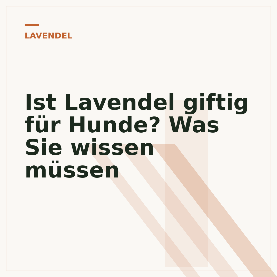 Ist Lavendel giftig für Hunde? Was Sie wissen müssen