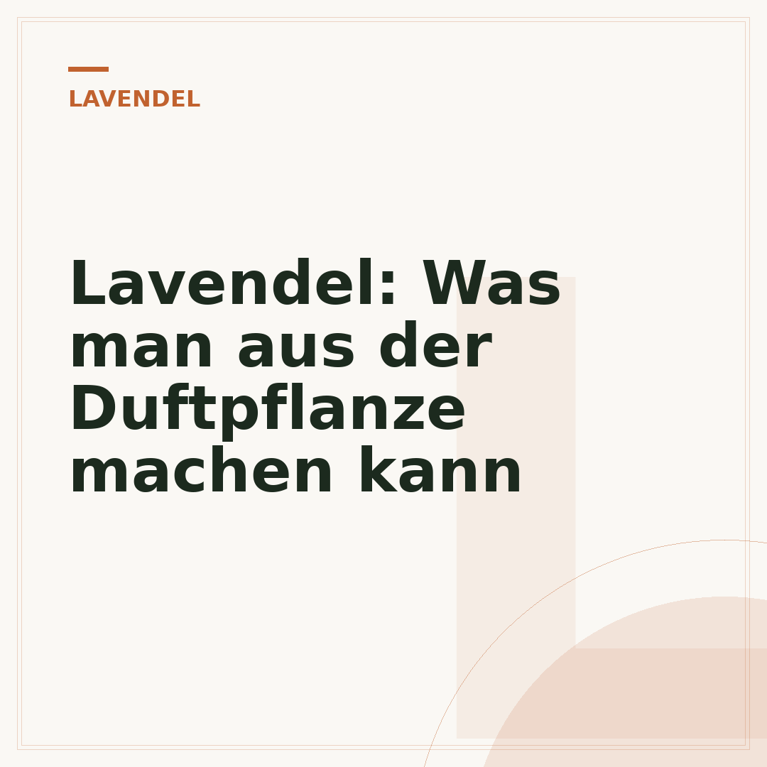 Lavendel: Was man aus der Duftpflanze machen kann