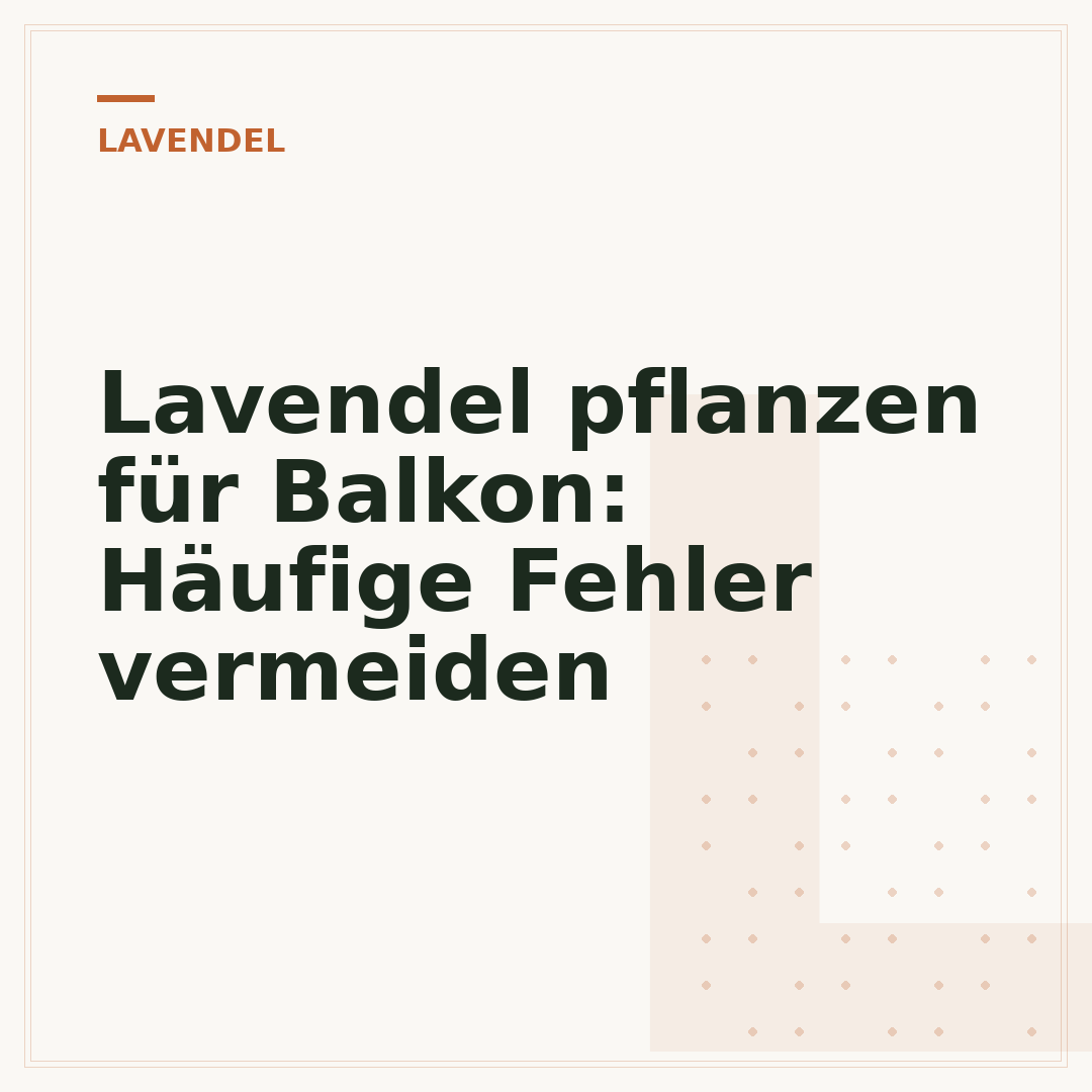 Lavendel pflanzen für Balkon: Häufige Fehler vermeiden