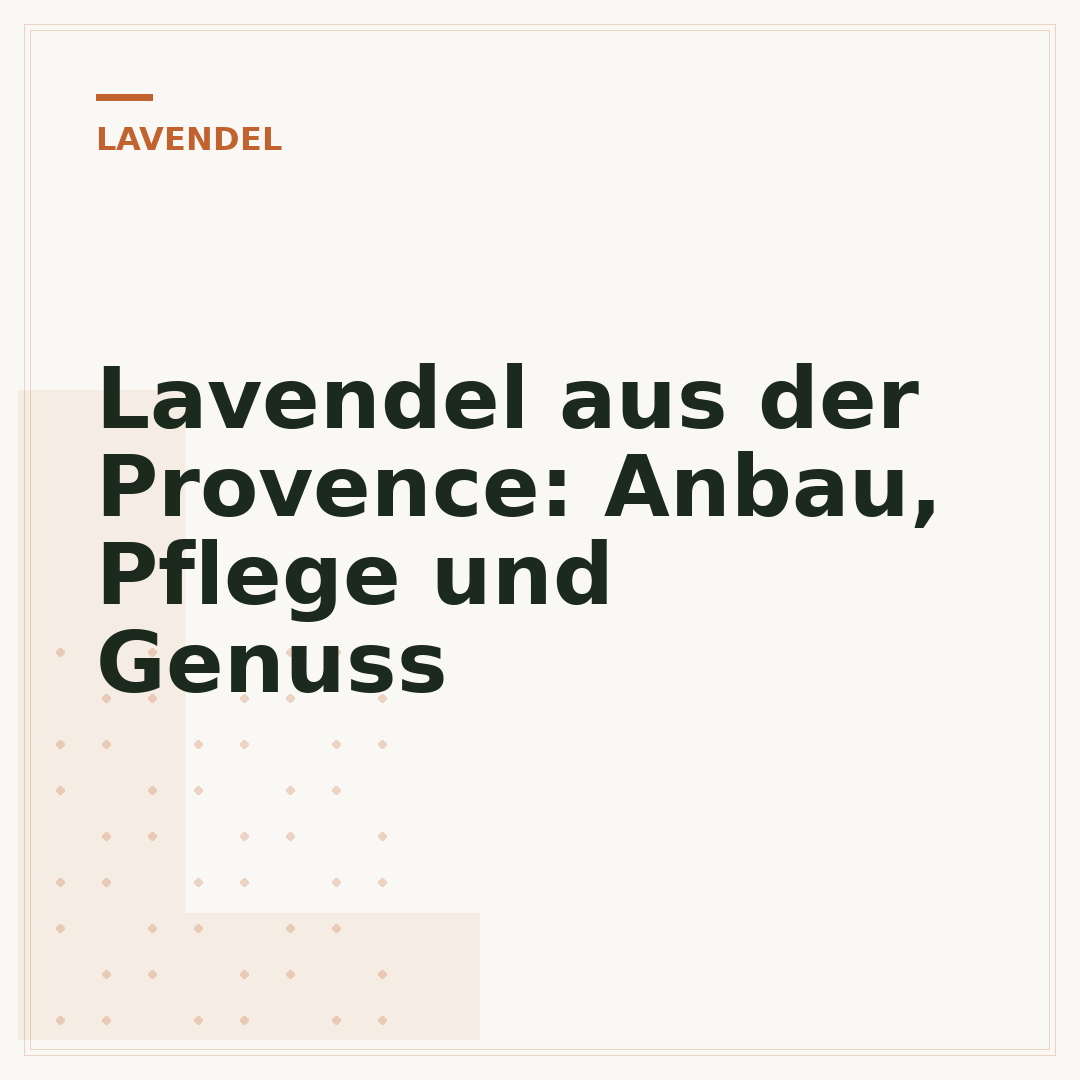 Lavendel aus der Provence: Anbau, Pflege und Genuss