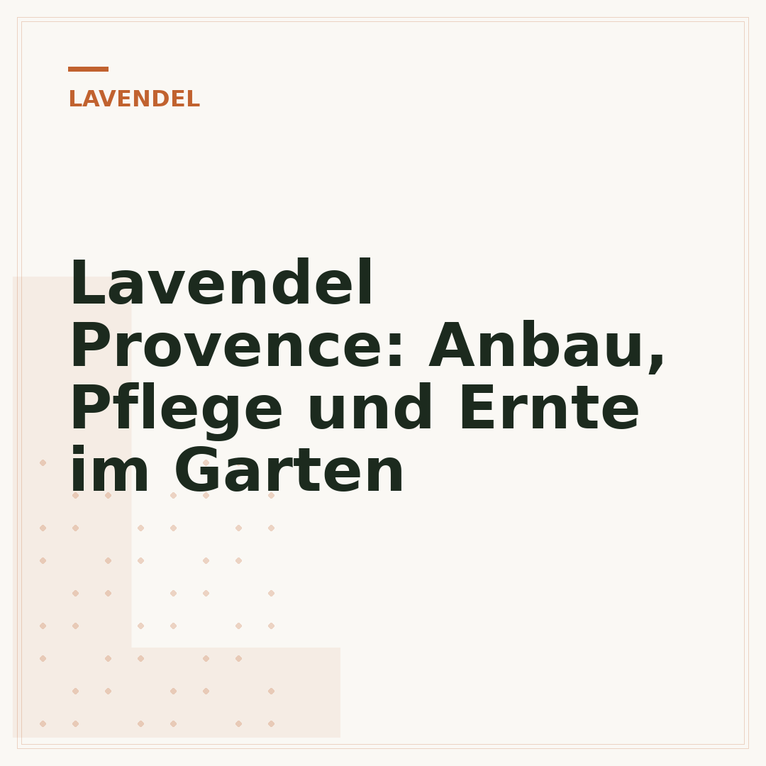 Lavendel Provence: Anbau, Pflege und Ernte im Garten