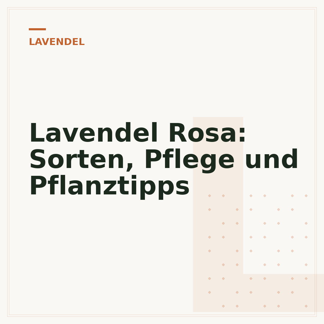 Lavendel Rosa: Sorten, Pflege und Pflanztipps