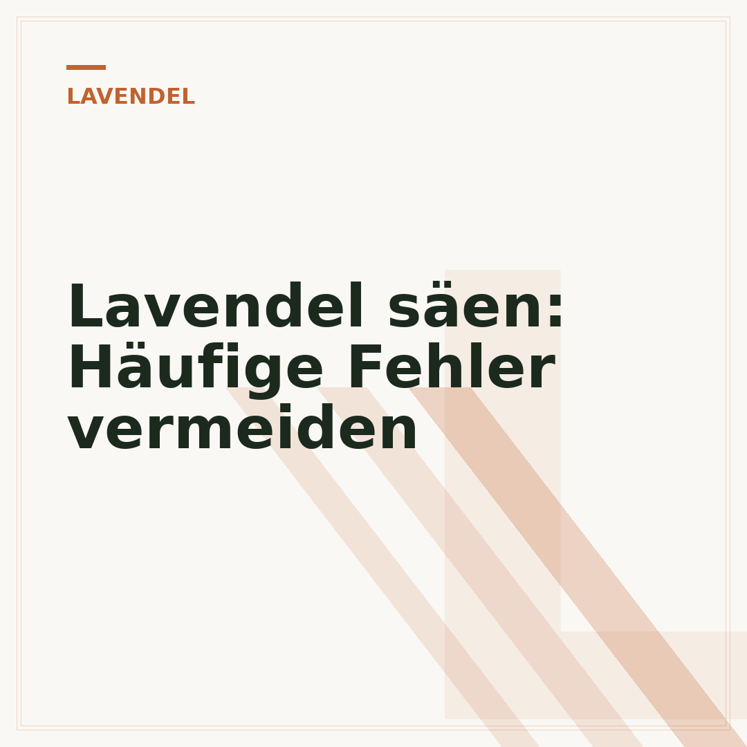 Lavendel säen: Häufige Fehler vermeiden