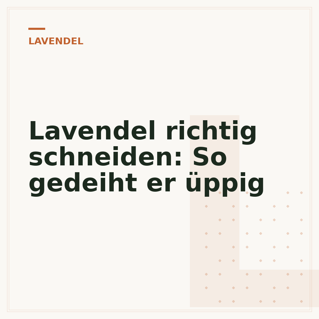 Lavendel richtig schneiden: So gedeiht er üppig