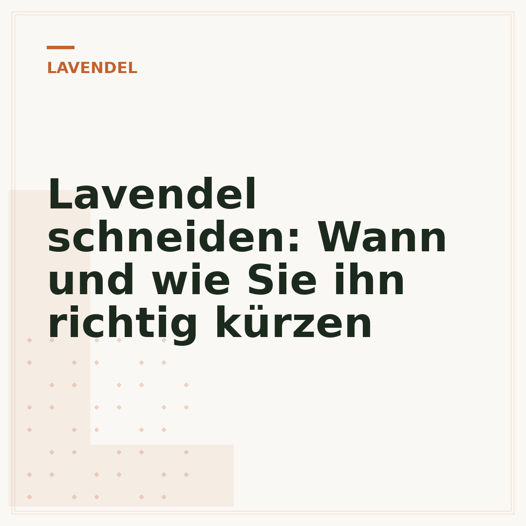 Lavendel schneiden: Wann und wie Sie ihn richtig kürzen