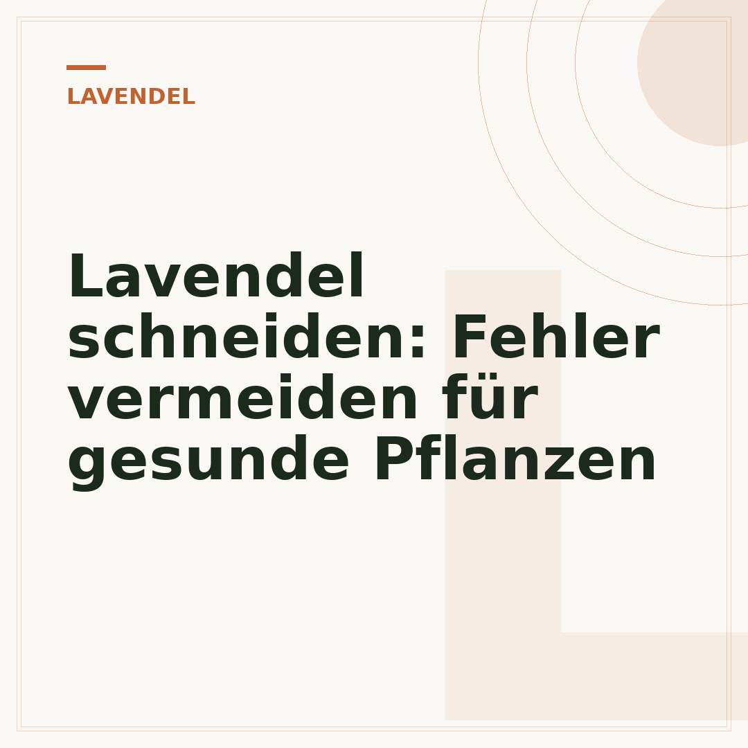 Lavendel schneiden: Fehler vermeiden für gesunde Pflanzen