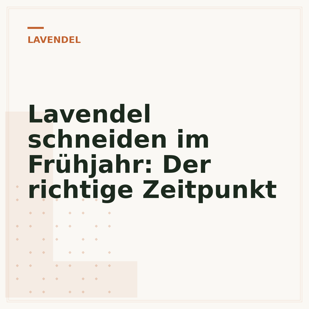 Lavendel schneiden im Frühjahr: Der richtige Zeitpunkt