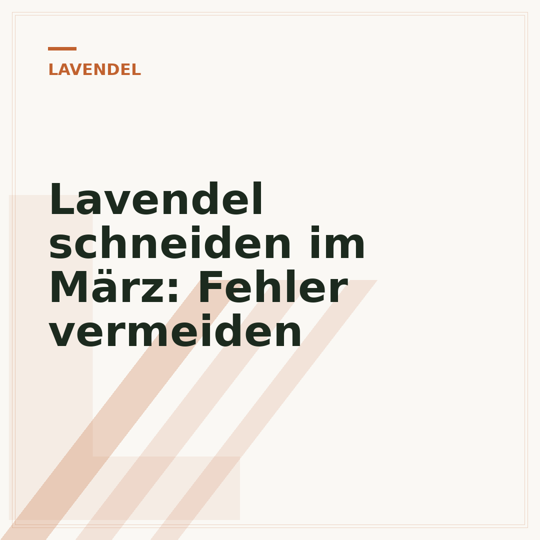 Lavendel schneiden im März: Fehler vermeiden