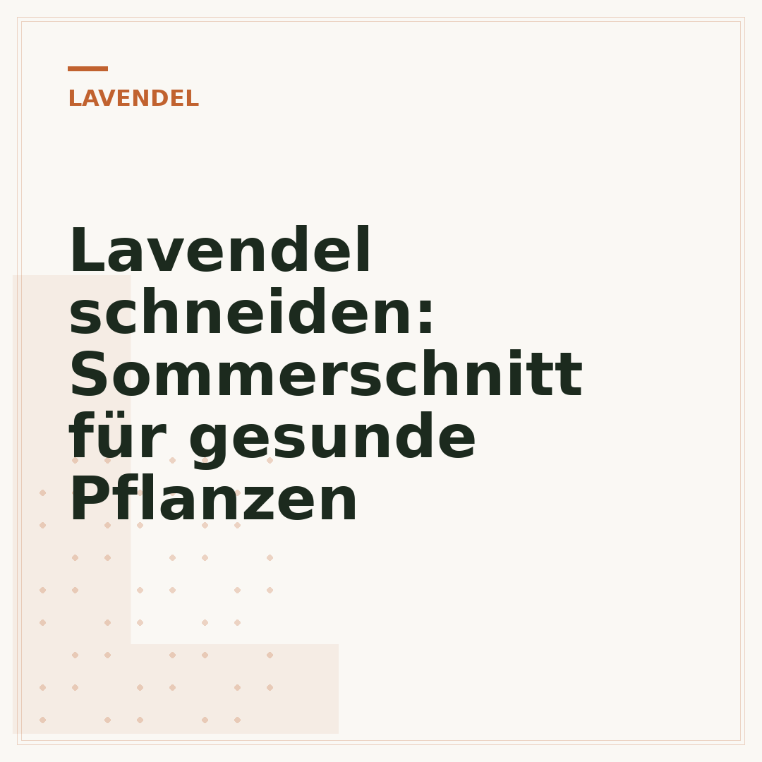Lavendel schneiden: Sommerschnitt für gesunde Pflanzen