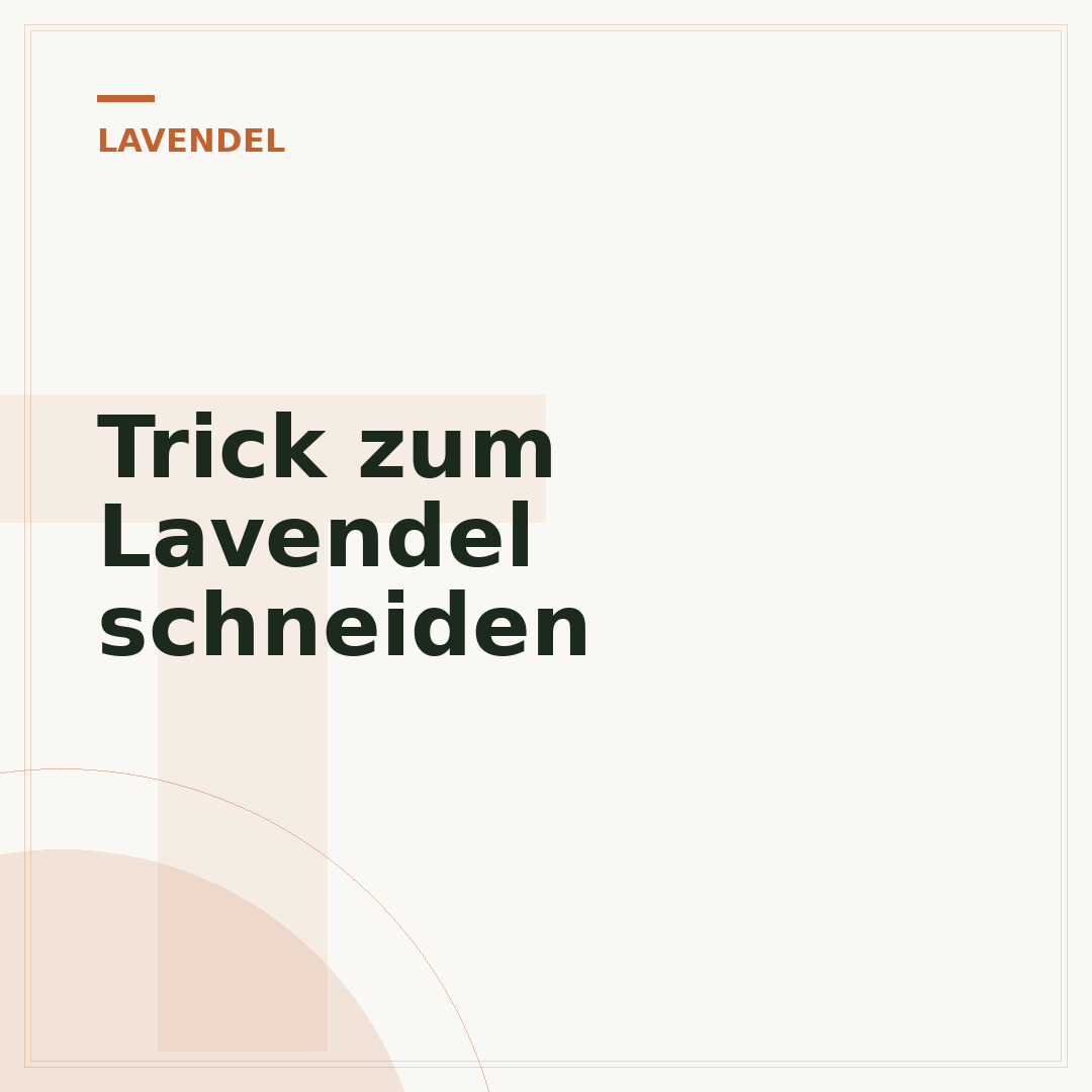 Trick zum Lavendel schneiden