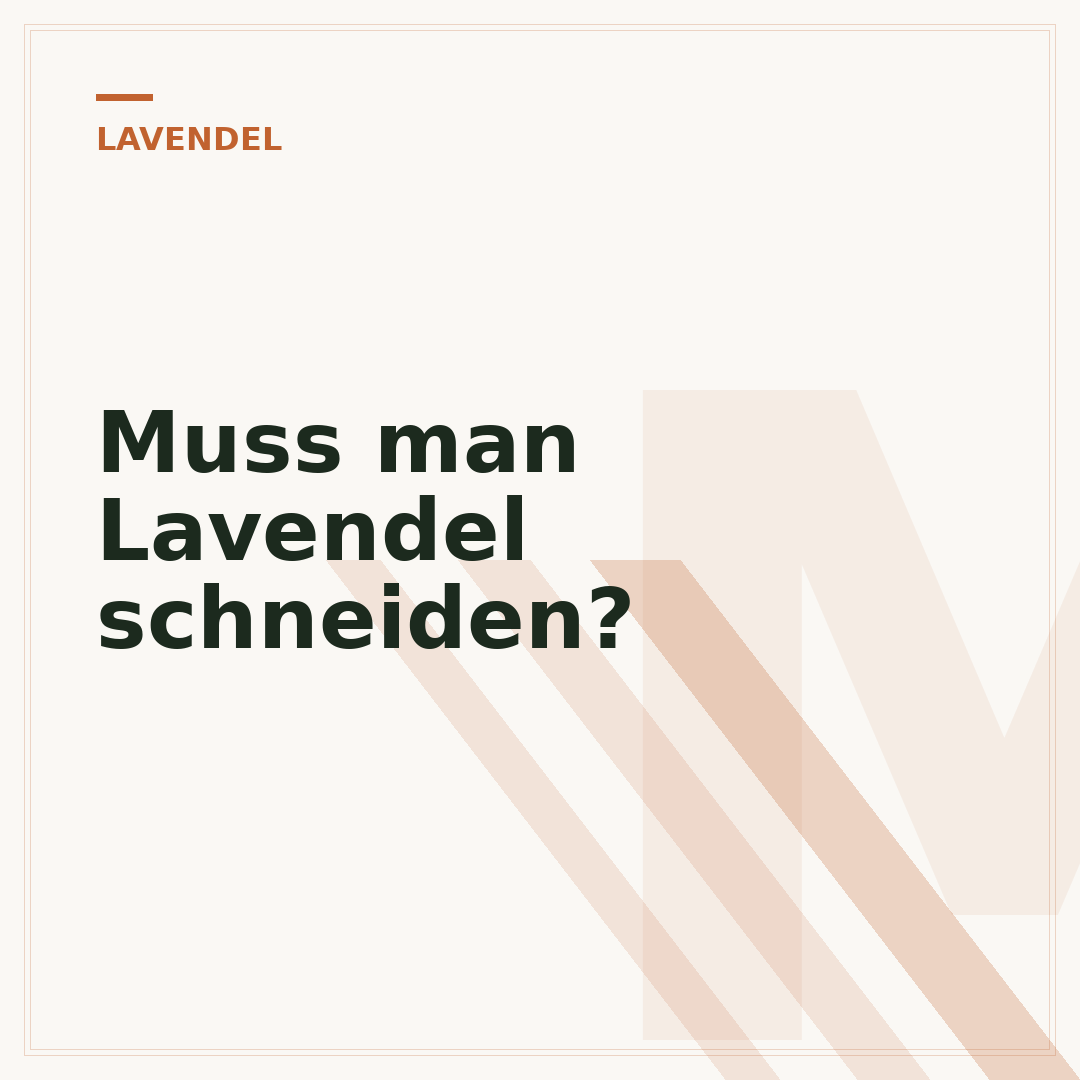 Muss man Lavendel schneiden?