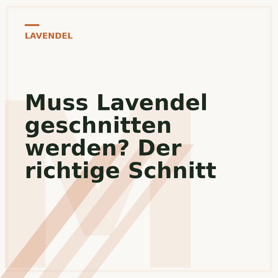 Muss Lavendel geschnitten werden? Der richtige Schnitt
