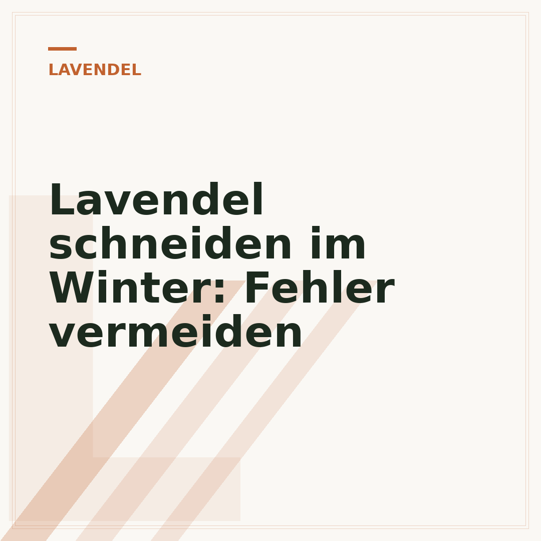 Lavendel schneiden im Winter: Fehler vermeiden