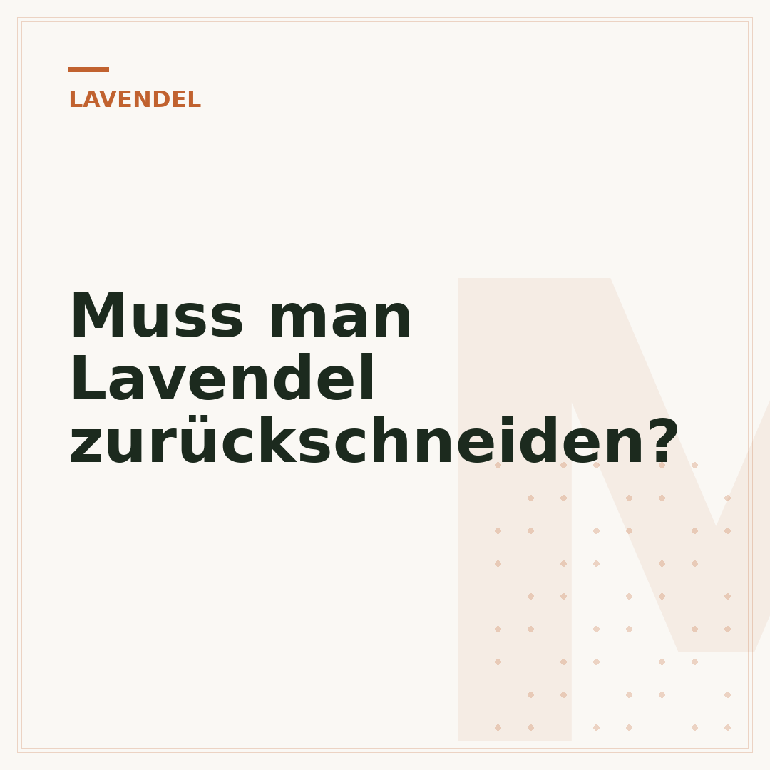 Muss man Lavendel zurückschneiden?