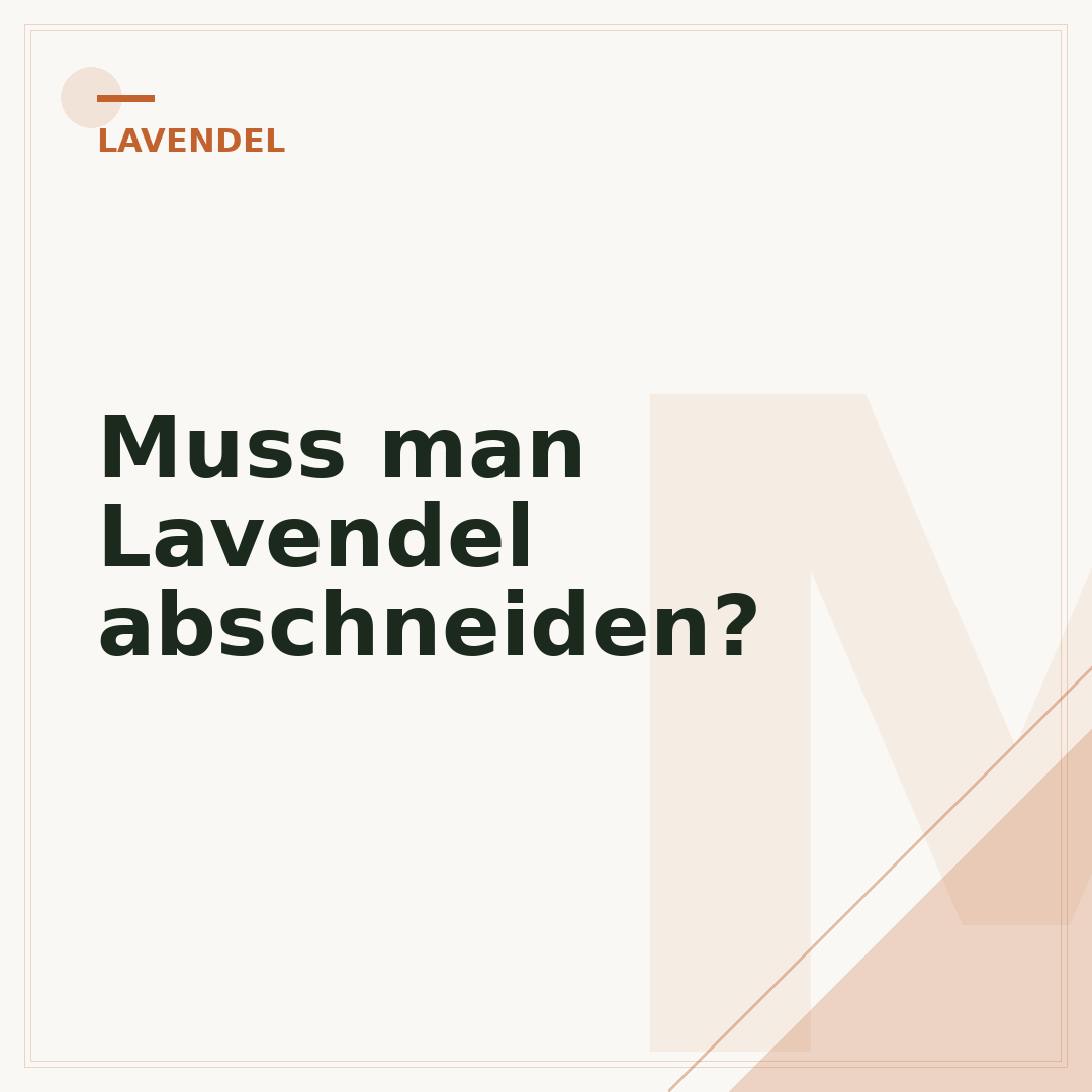 Muss man Lavendel abschneiden?