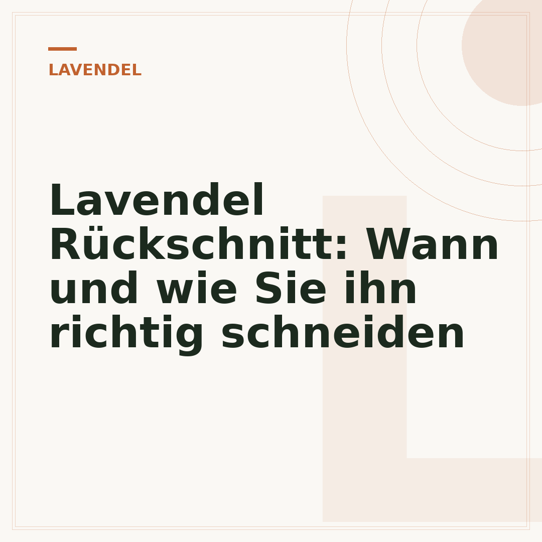 Lavendel Rückschnitt: Wann und wie Sie ihn richtig schneiden