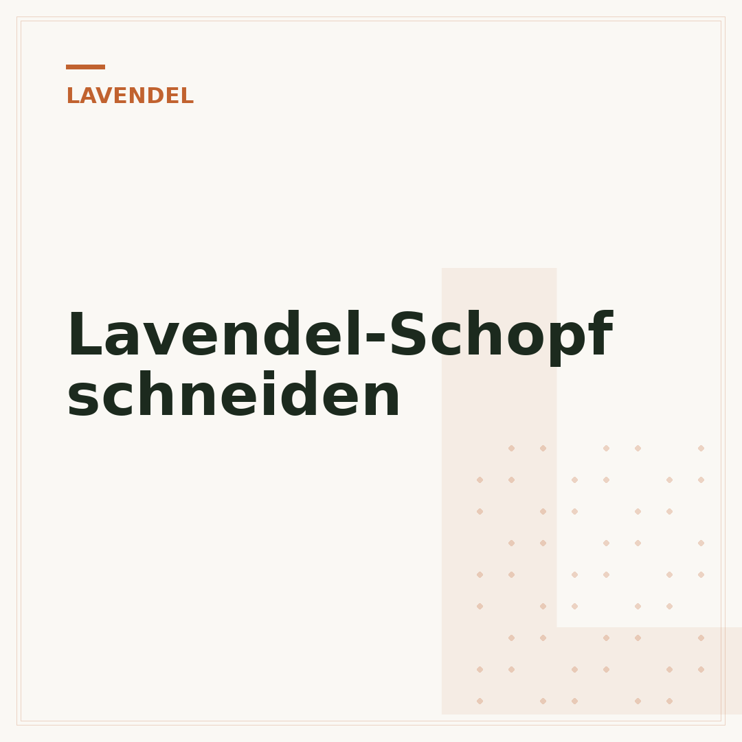 Lavendel-Schopf schneiden