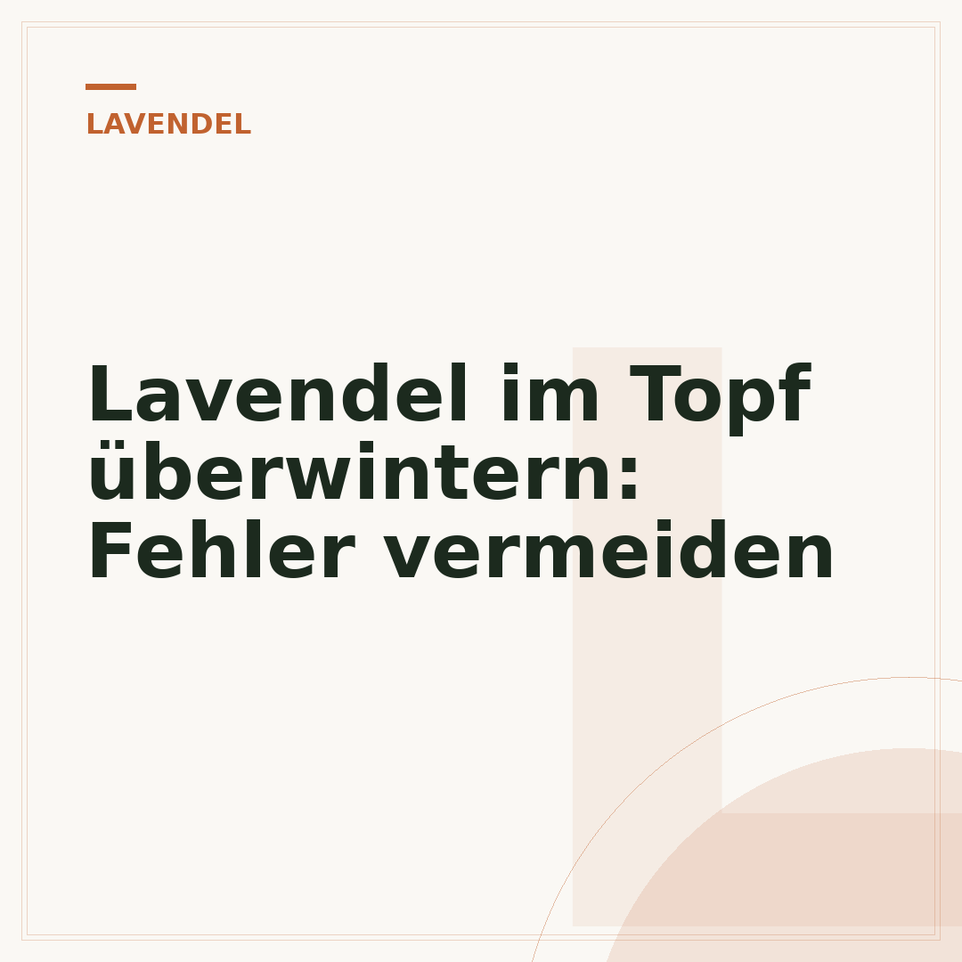 Lavendel im Topf überwintern: Fehler vermeiden