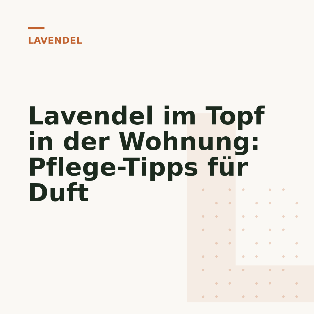 Lavendel im Topf in der Wohnung: Pflege-Tipps für Duft