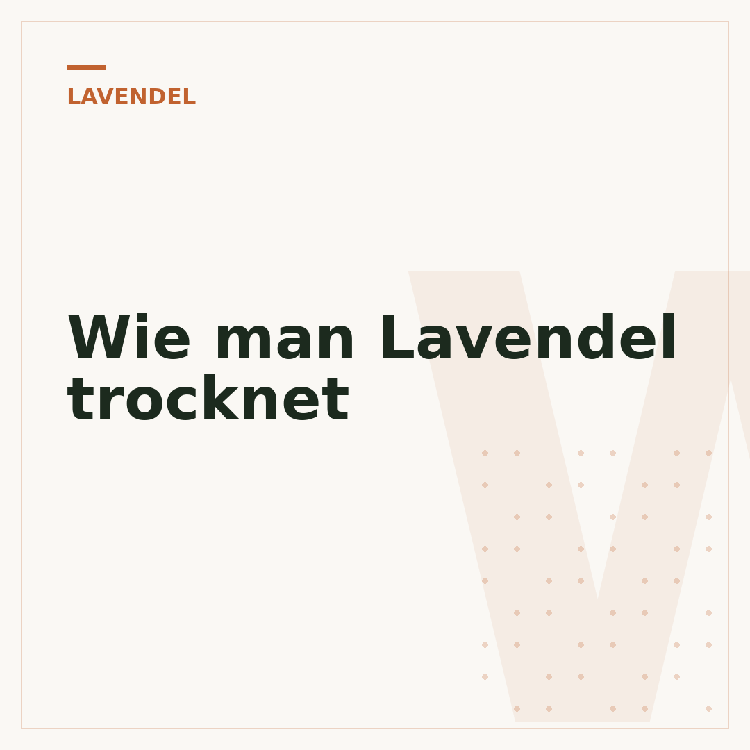 Wie man Lavendel trocknet