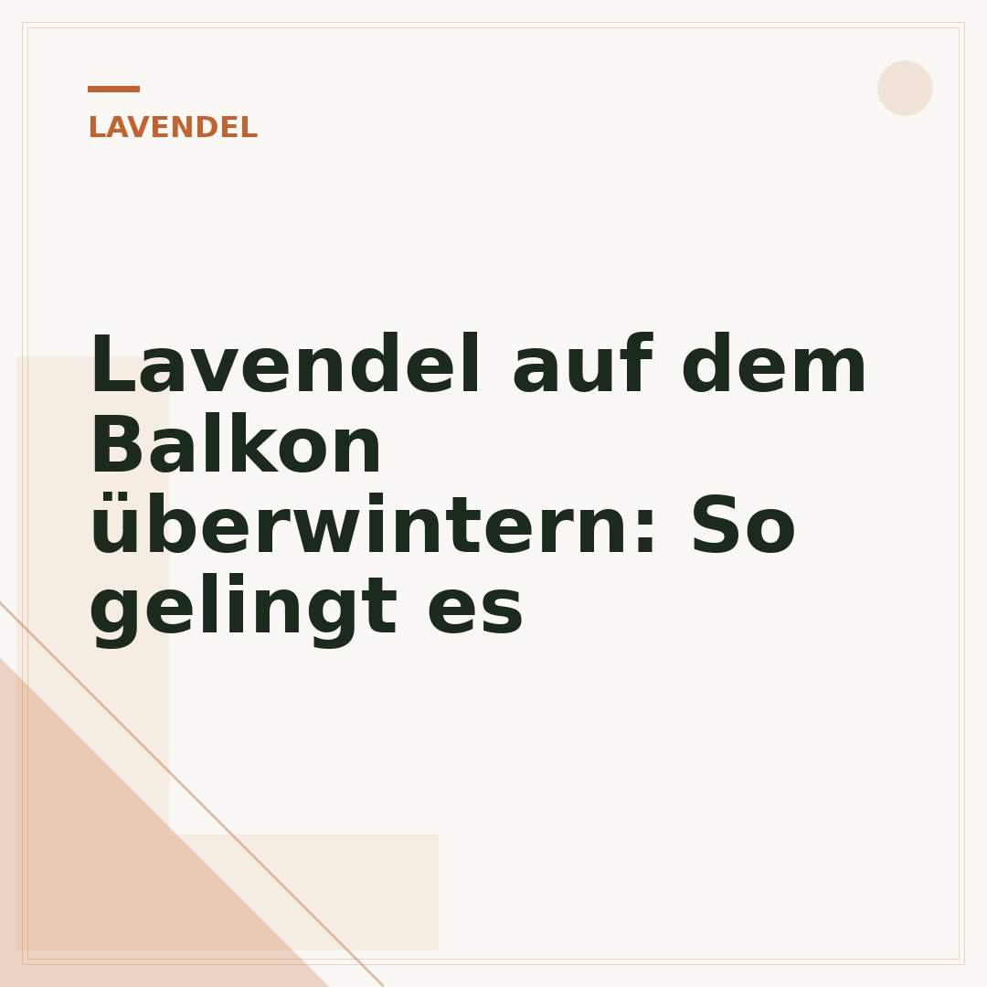 Lavendel auf dem Balkon überwintern: So gelingt es
