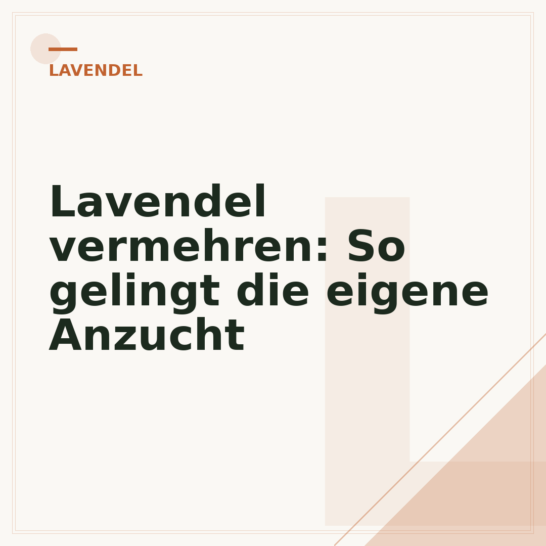 Lavendel vermehren: So gelingt die eigene Anzucht