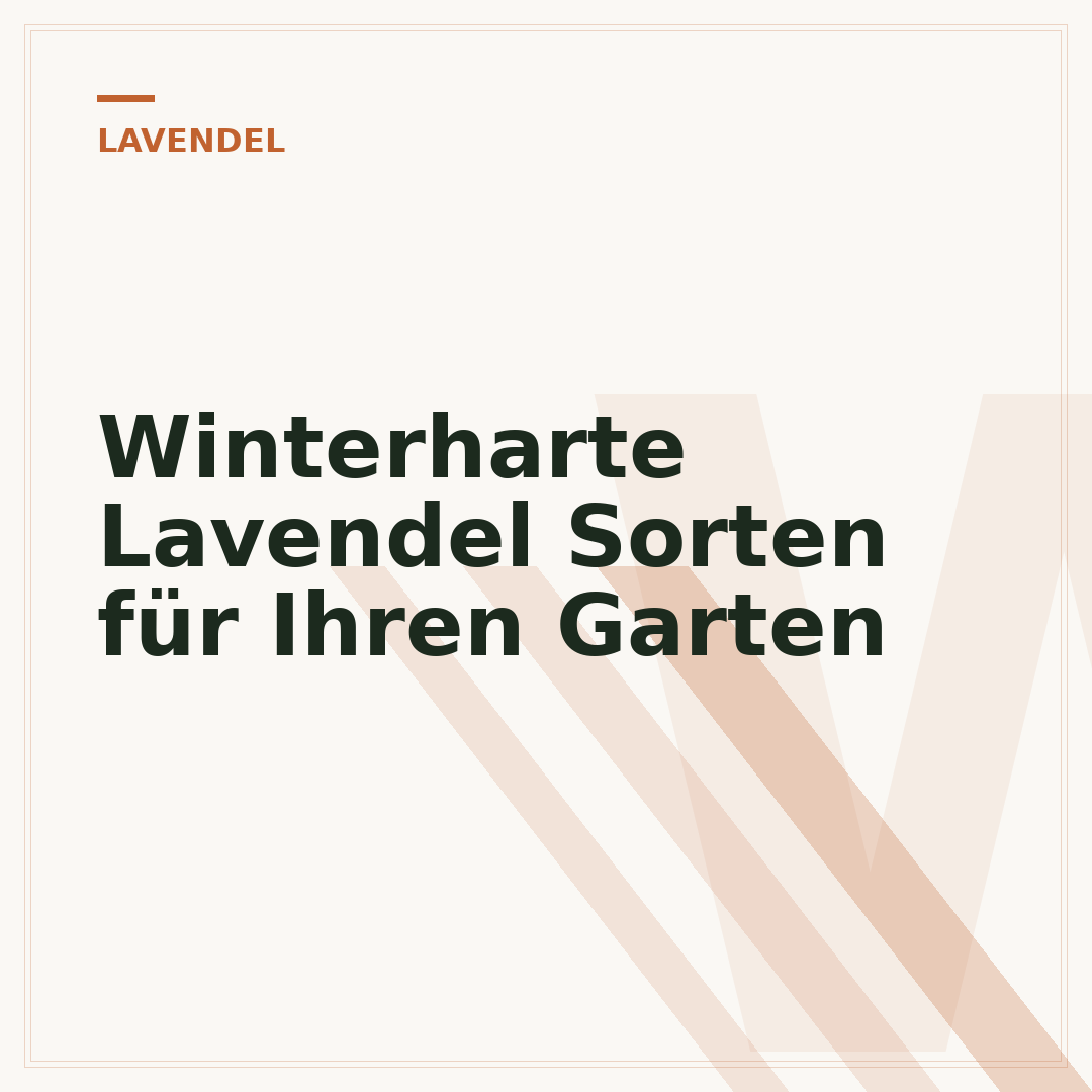 Winterharte Lavendel Sorten für Ihren Garten