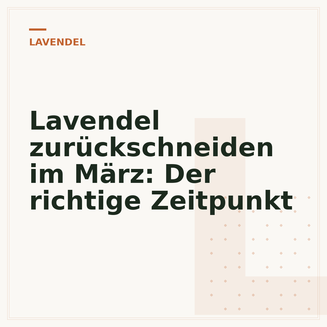 Lavendel zurückschneiden im März: Der richtige Zeitpunkt