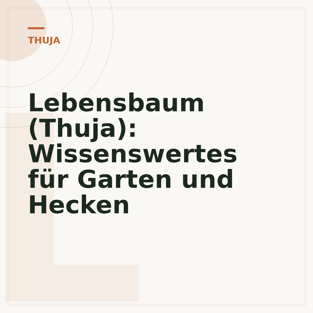 Lebensbaum (Thuja): Wissenswertes für Garten und Hecken