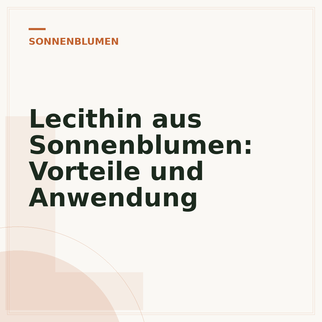 Lecithin aus Sonnenblumen: Vorteile und Anwendung