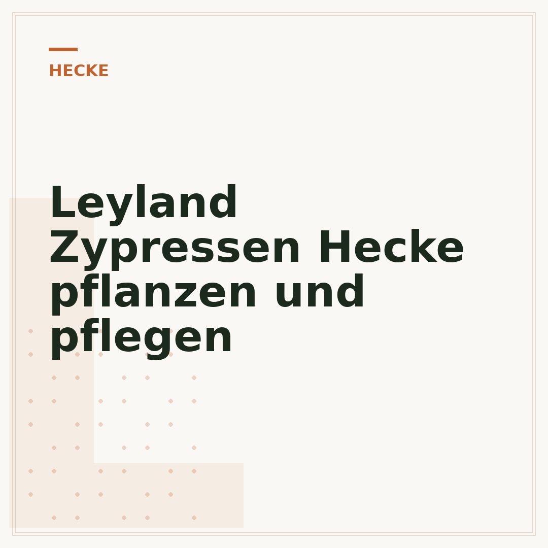 Leyland Zypressen Hecke pflanzen und pflegen