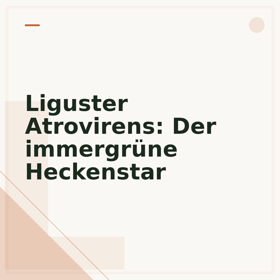 Liguster Atrovirens: Der immergrüne Heckenstar