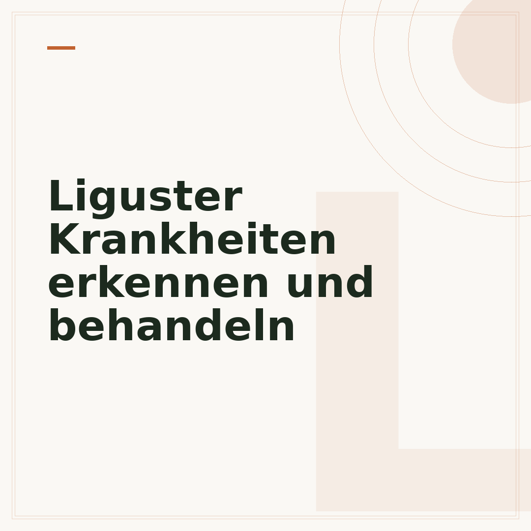 Liguster Krankheiten erkennen und behandeln