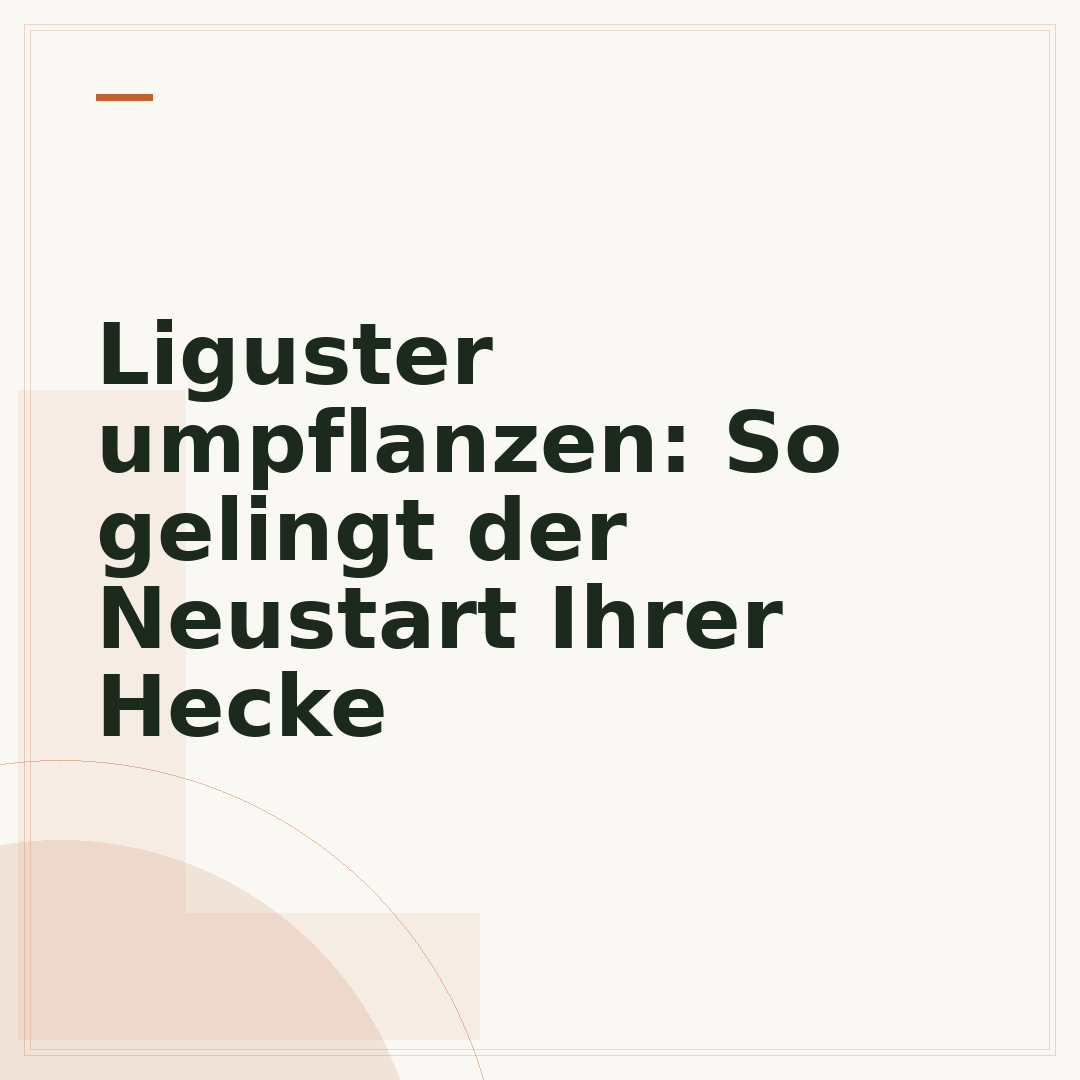 Liguster umpflanzen: So gelingt der Neustart Ihrer Hecke